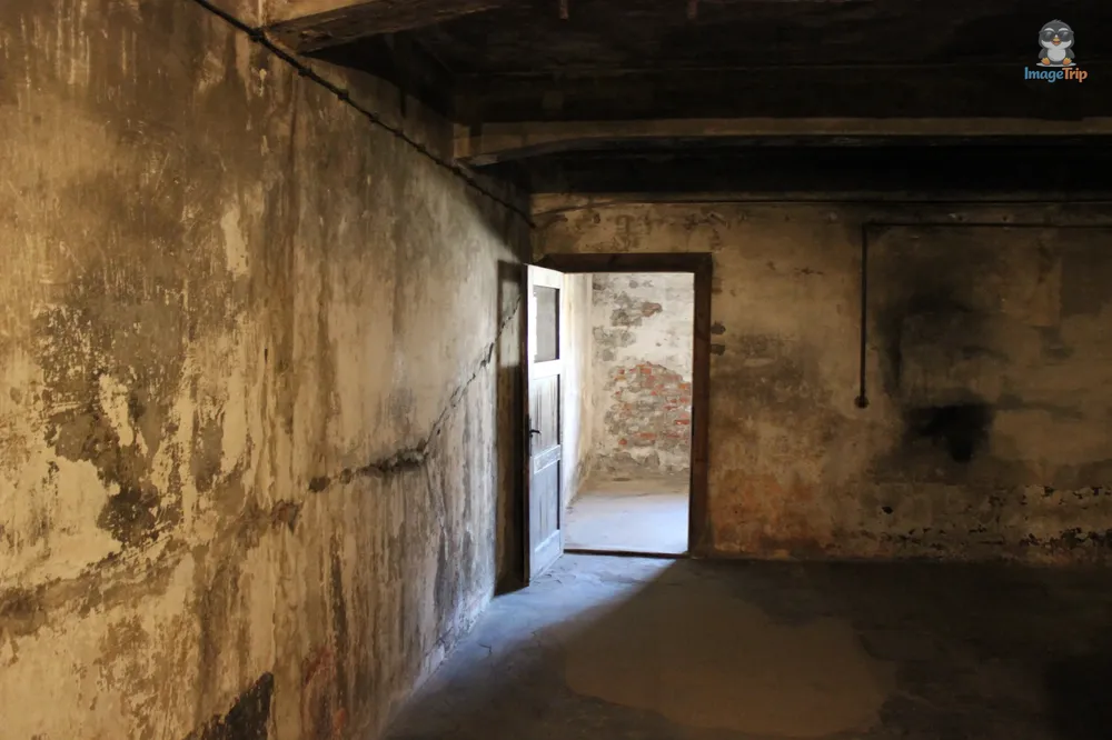 Auschwitz I 124