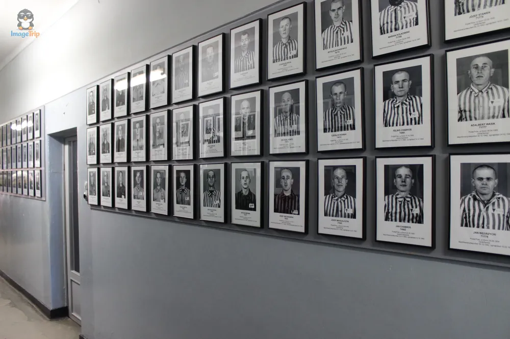 Auschwitz I 74