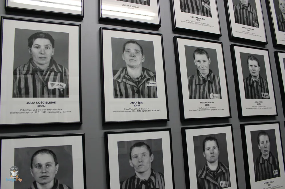 Auschwitz I 71