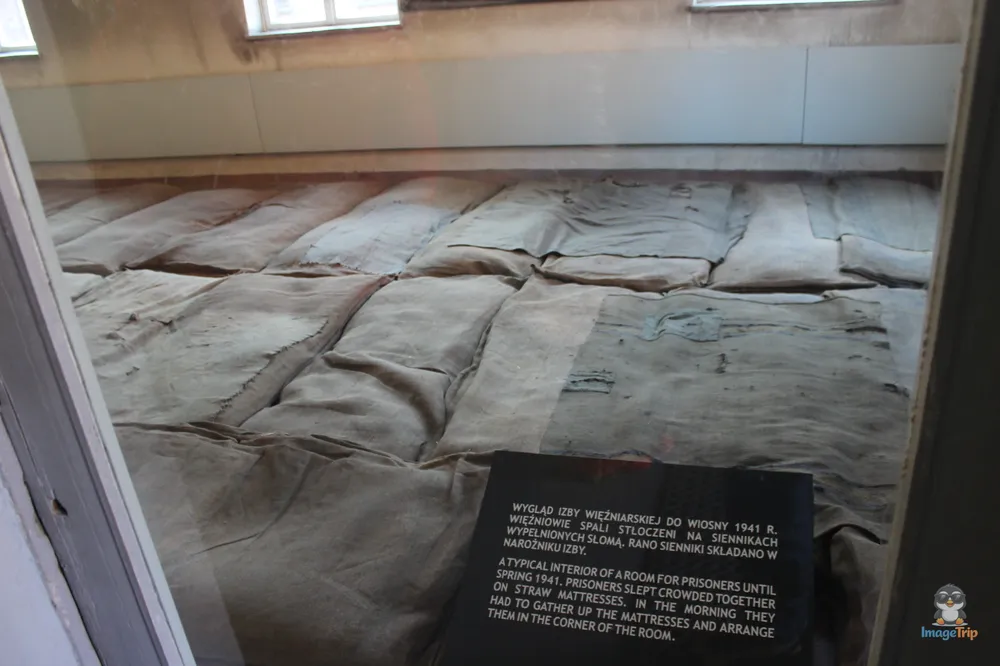 Auschwitz I 65