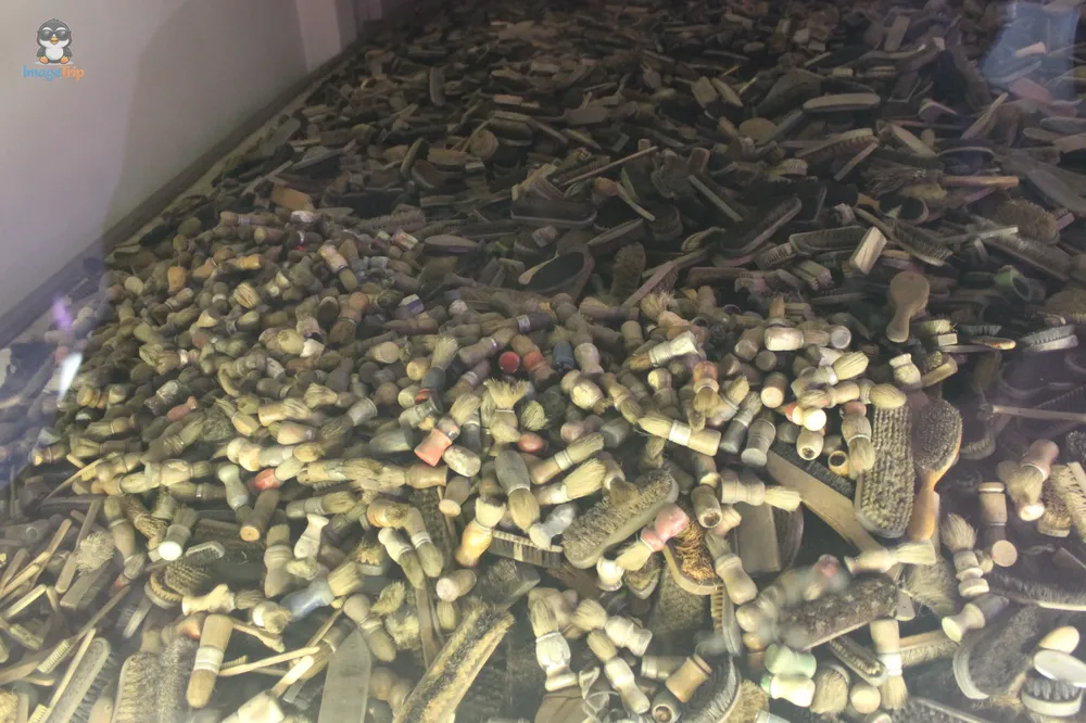 Auschwitz I 55