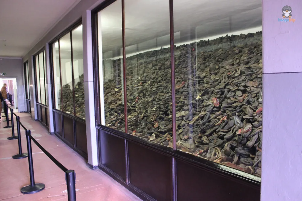 Auschwitz I 51