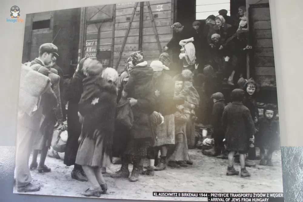 Auschwitz I 25