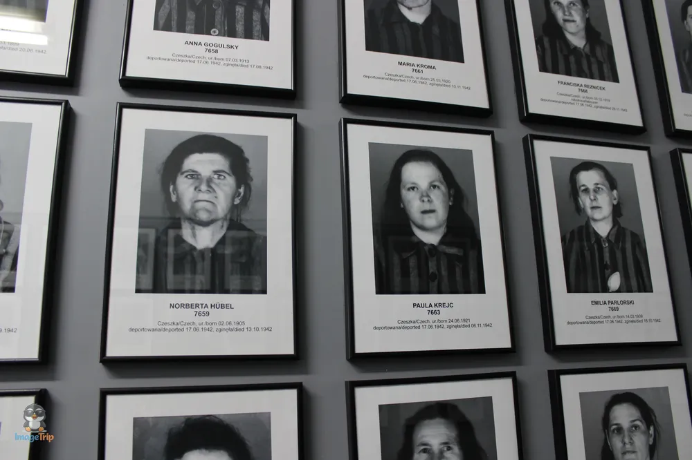 Auschwitz I 67