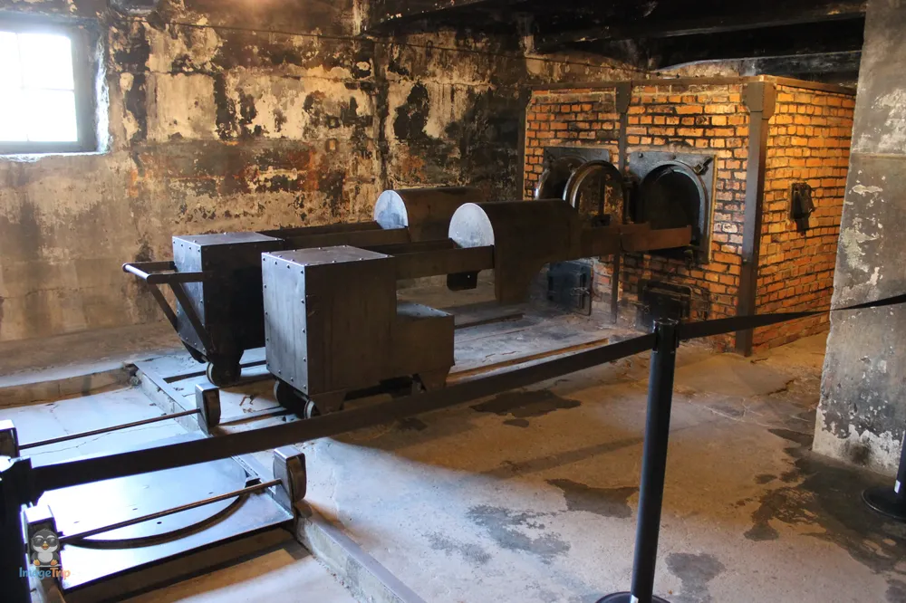 Auschwitz I 126