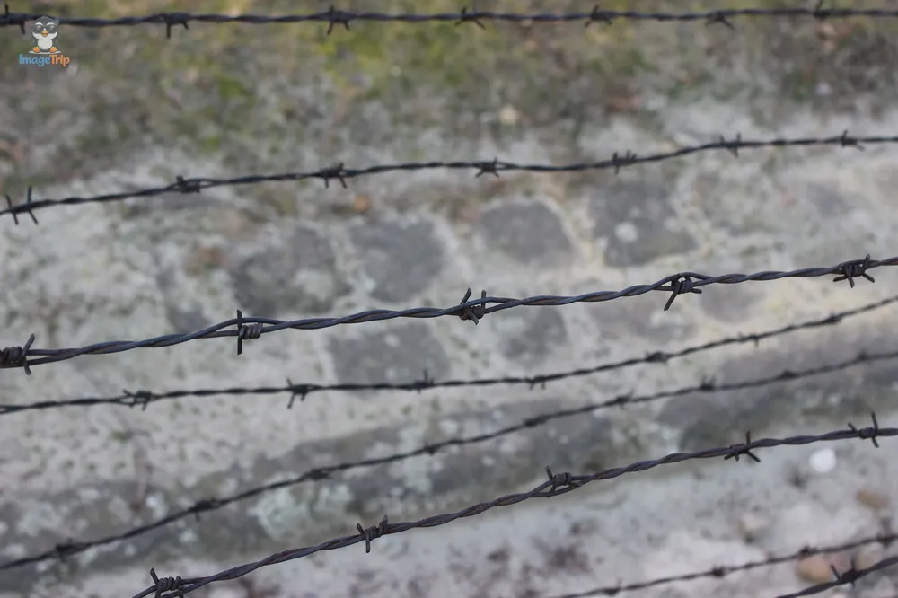 Auschwitz I 108