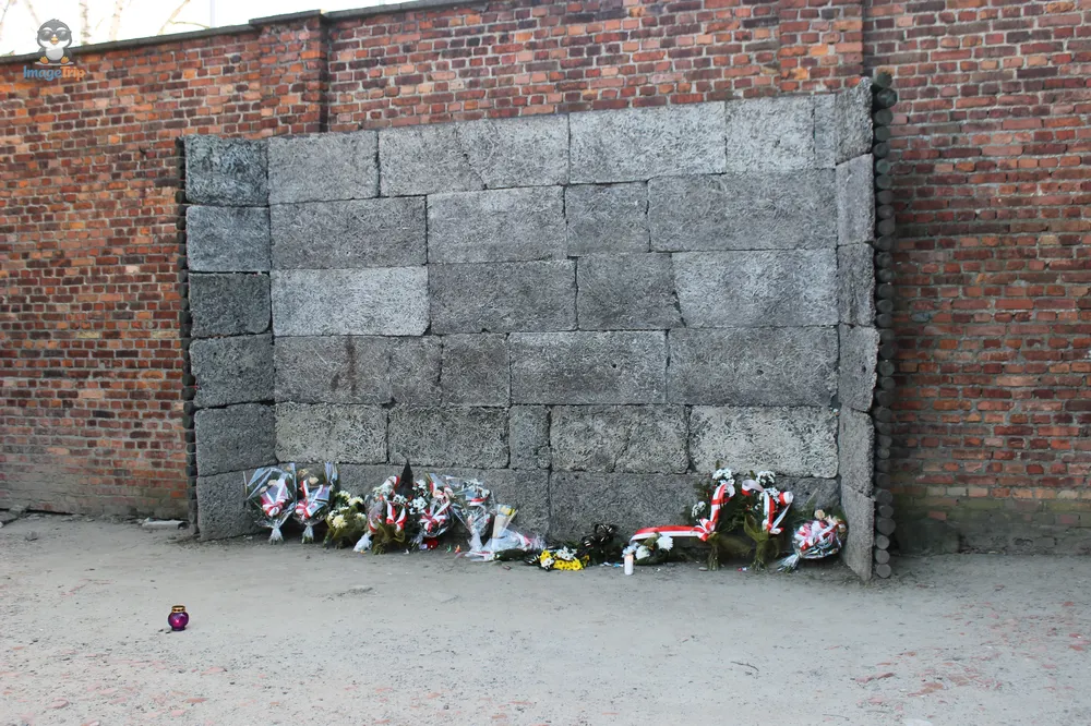 Auschwitz I 97