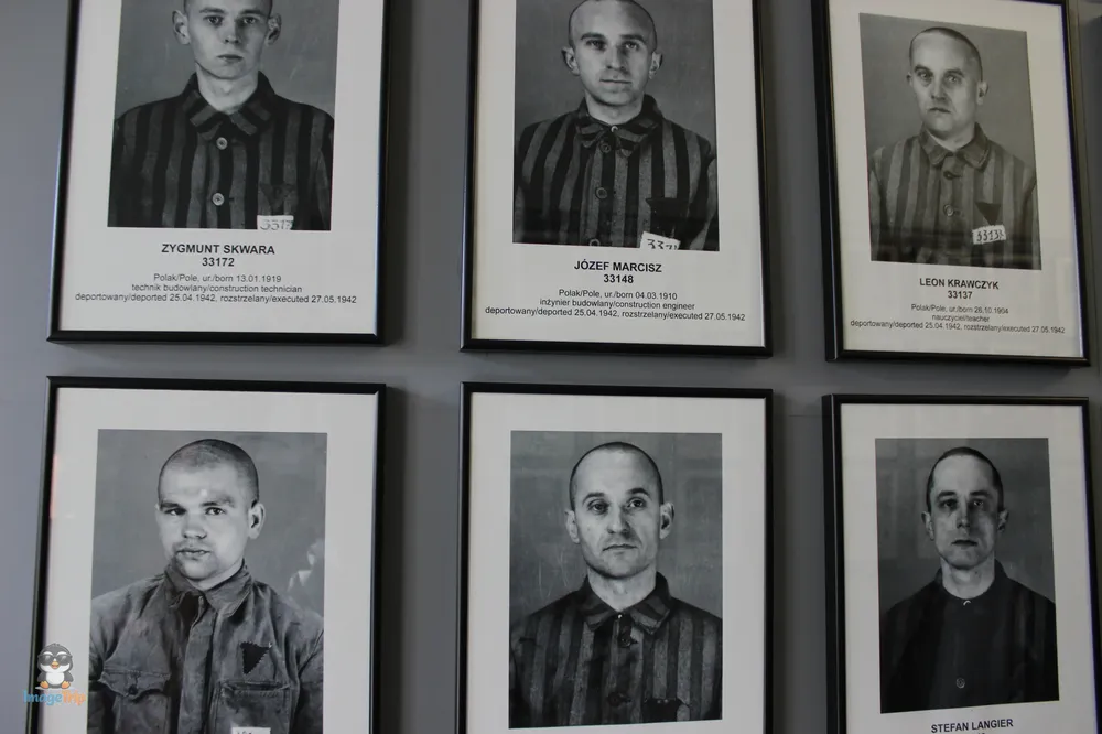 Auschwitz I 73