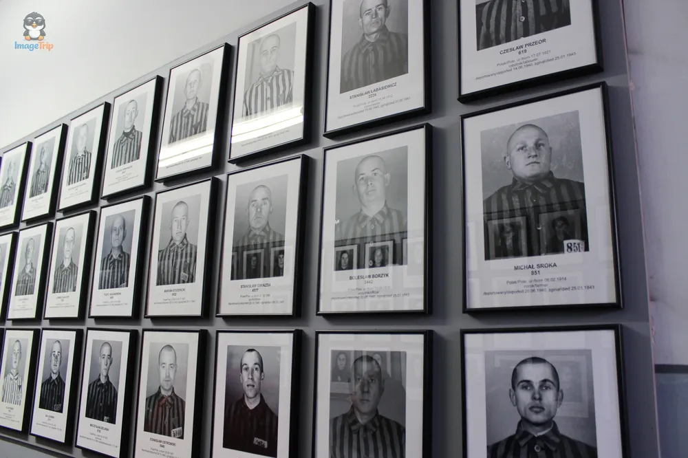Auschwitz I 66