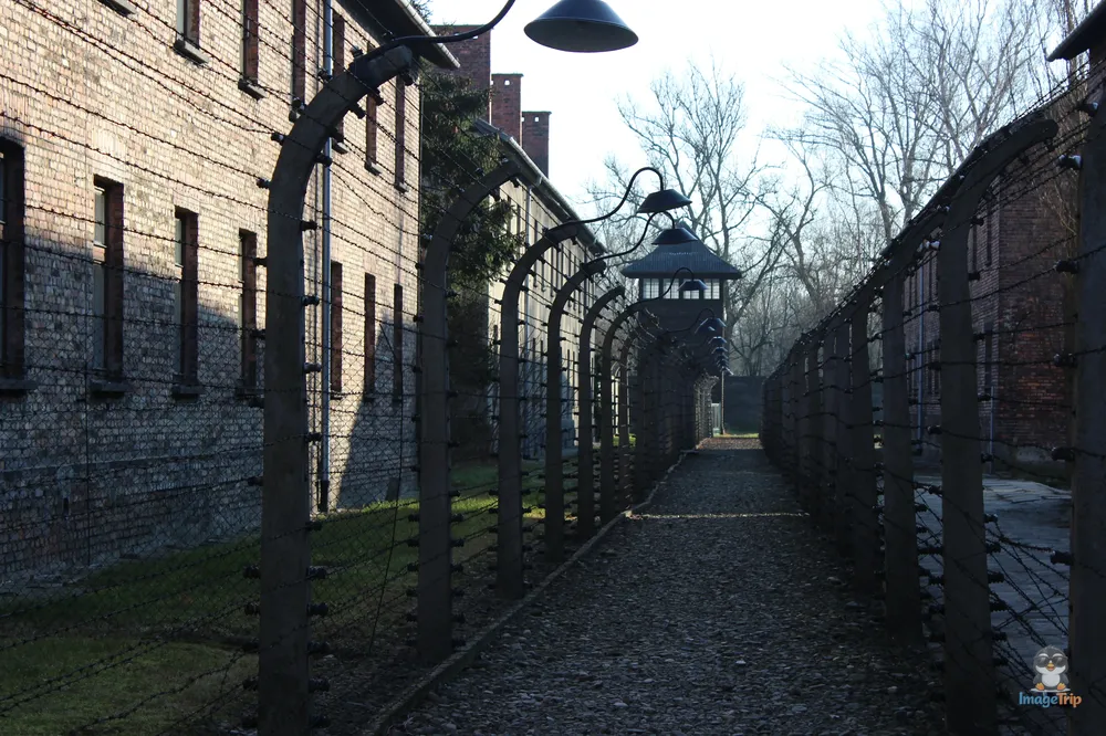 Auschwitz I 115