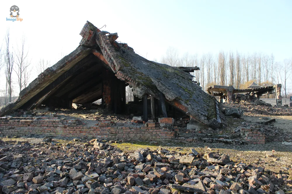 Auschwitz II 43