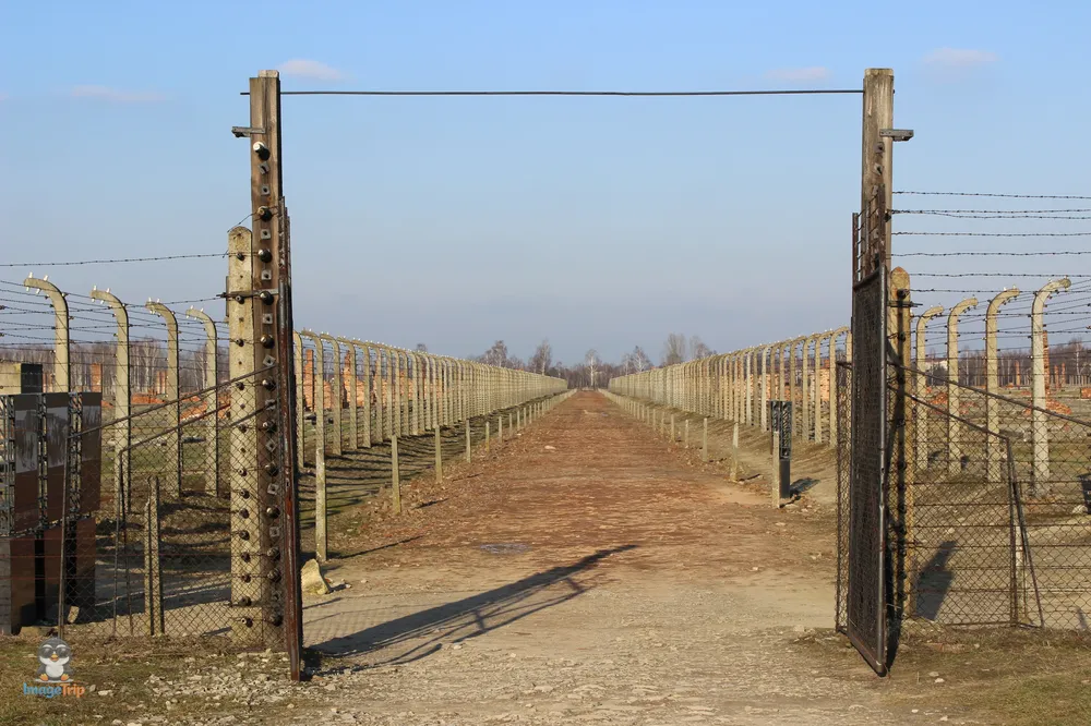 Auschwitz II 55