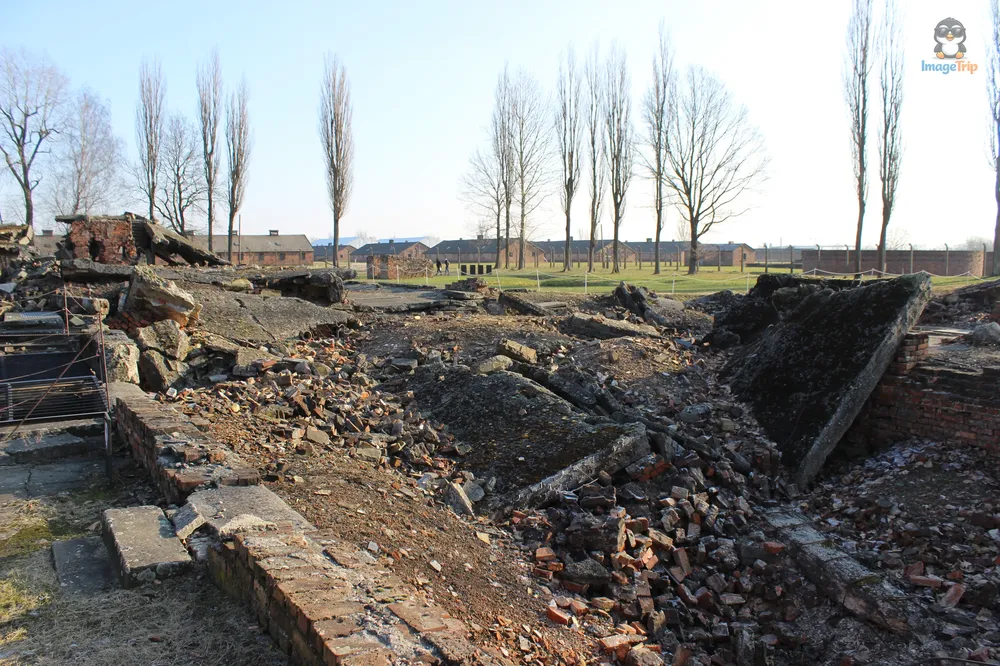 Auschwitz II 41