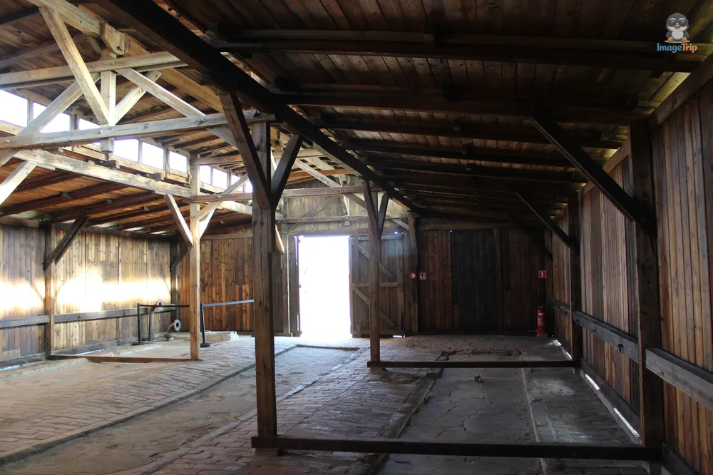 Auschwitz II 25