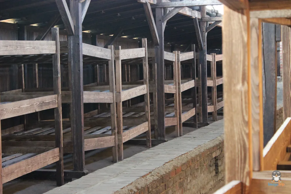 Auschwitz II 22
